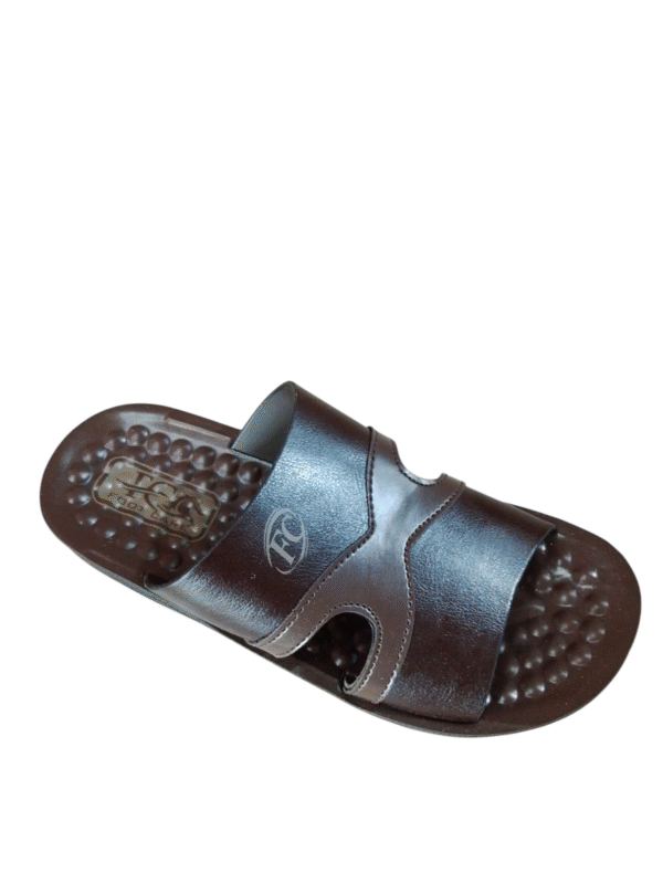X-10 Brown